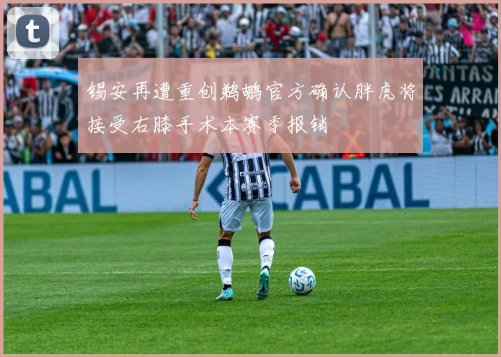 锡安再遭重创鹈鹕官方确认胖虎将接受右膝手术本赛季报销